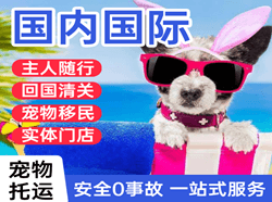 河东航空快运国际宠物托运 【国